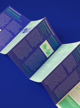 Camille Moreau  |  Design graphique