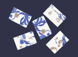 Camille Moreau  |  Design graphique