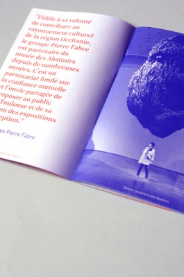 Camille Moreau graphiste Toulouse 