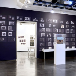 Camille Moreau | Design graphique