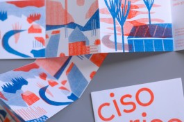 Camille Moreau graphiste Toulouse Ciso riso