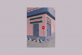 Camille Moreau graphiste Toulouse Maisons 