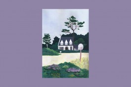 Camille Moreau graphiste Toulouse Maisons 