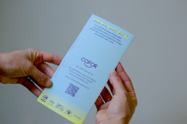 Camille Moreau  |  Design graphique