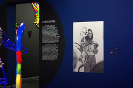 Camille Moreau  |  Design graphique