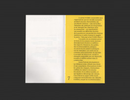 Camille Moreau  |  Design graphique