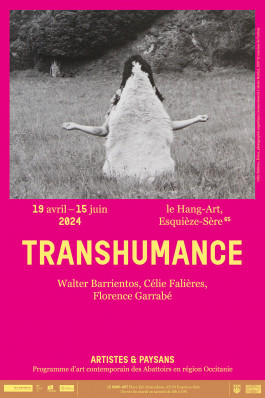 Camille Moreau  |  Design graphique