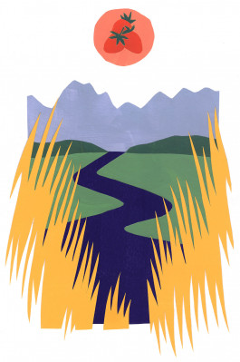 Camille Moreau  |  Design graphique