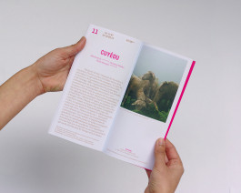 Camille Moreau  |  Design graphique