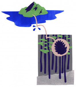 Camille Moreau  |  Design graphique