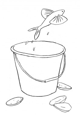 Camille Moreau  |  Design graphique